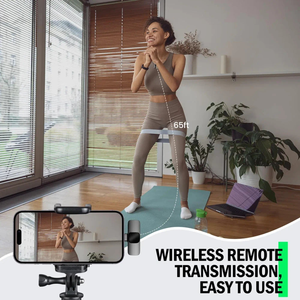 Miniature Wireless Microphone